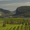 okanagan_070614_0849