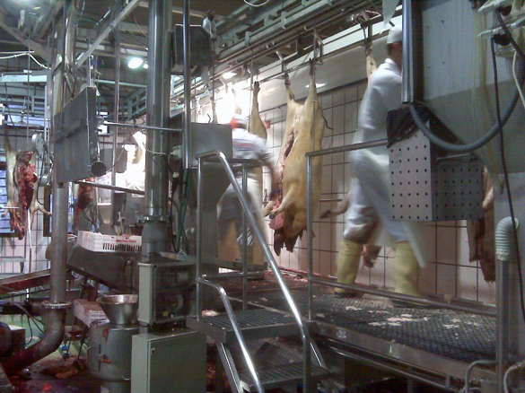 img00278-0