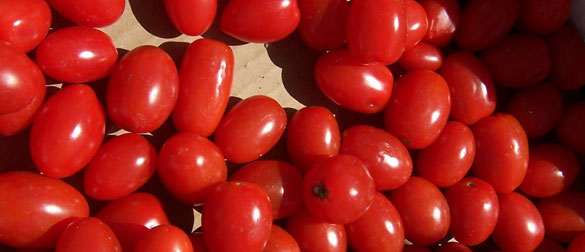 farmers-market farmers-market