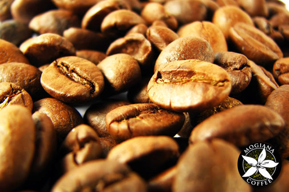 09-coffee-beans 09-coffee-beans