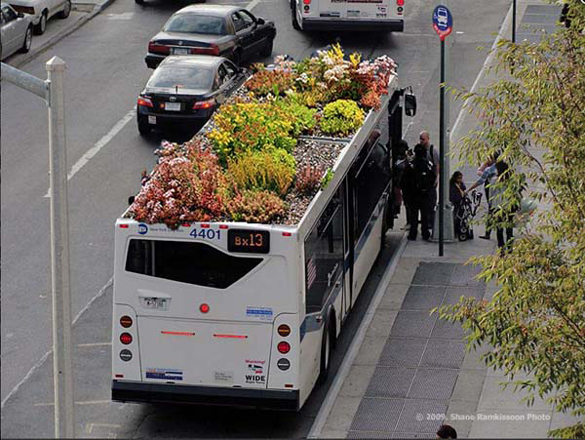rooftopbus3 rooftopbus3
