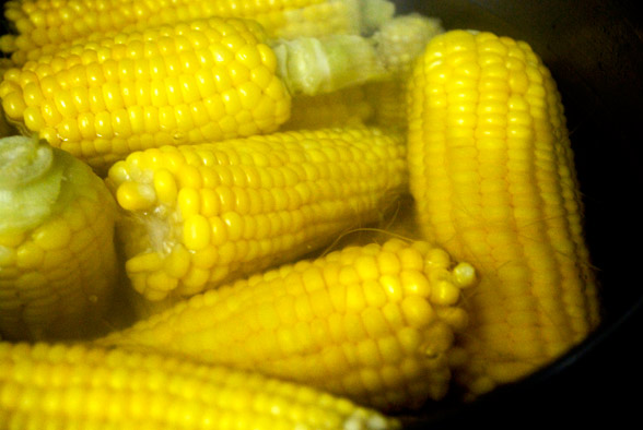 corn2