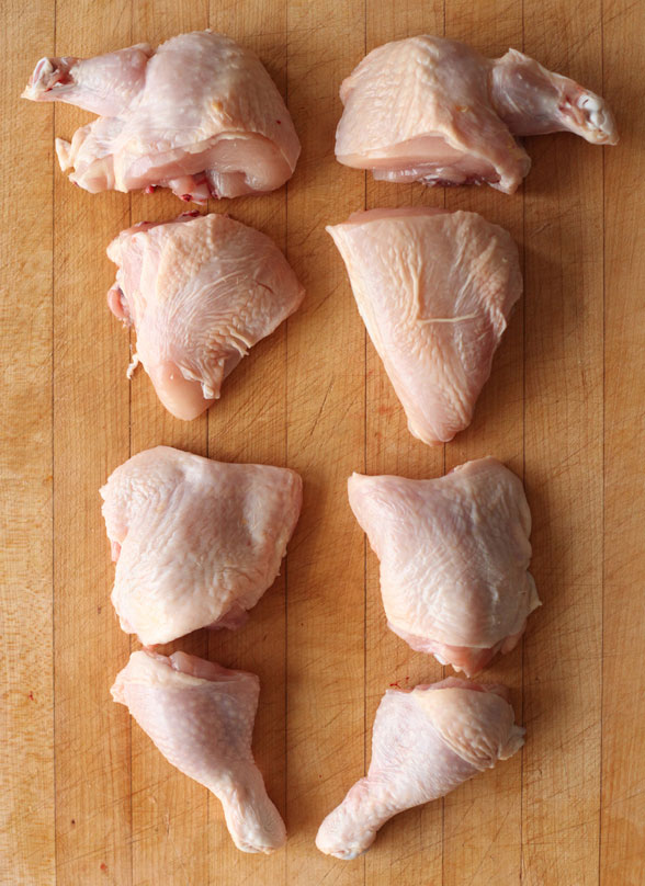 chick7