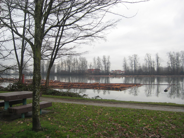 CyclingFraserRiver261