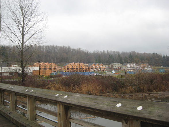 CyclingFraserRiver277