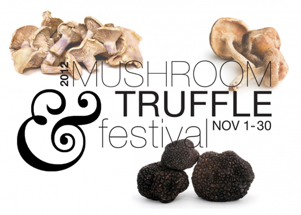 mushroom_trufflev4_01