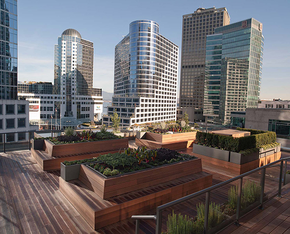 rooftop