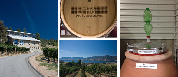 Laughing Stock Vineyards is located at 1548 Naramata Road in Penticton, BC | 250-493-8466 | www.laughingstock.ca