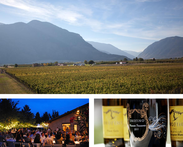 Orofino is located at 2152 Barcelo Road in beautiful Cawston, BC V0X 1C2 | (250) 499-0068 | www.orofinovineyards.com